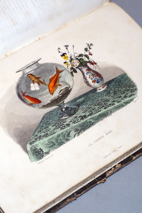 Histoire Naturelle De Lacépède, Tome II.