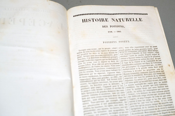 Histoire Naturelle De Lacépède, Tome II.