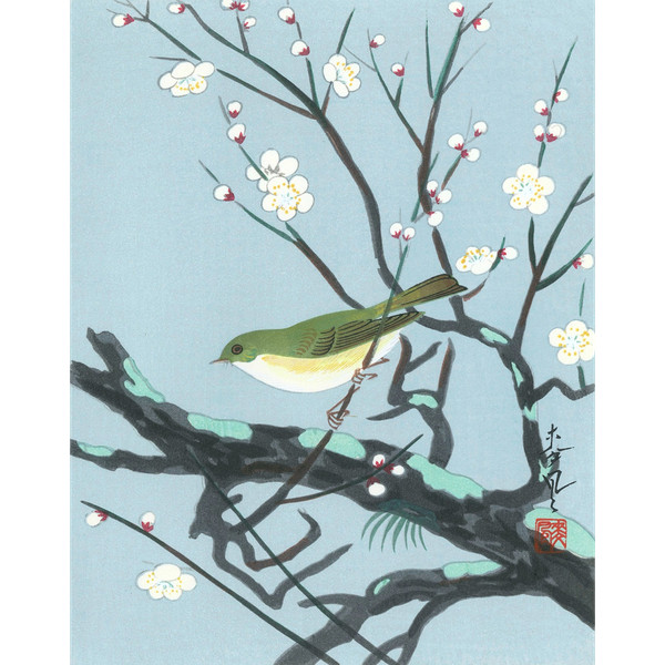 Ohno Bakufu 大野麦風, Japanese Shin-hanga print, Bird in flowering branches