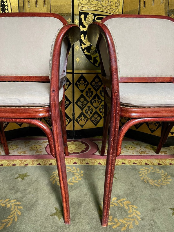 Pair of armchairs - Bergères Thonet