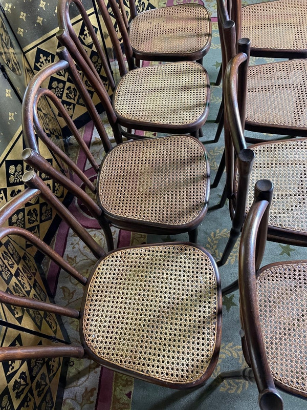 Suite di 8 sedie da bistrò Thonet 56