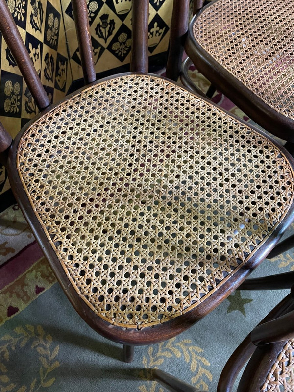 Suite di 8 sedie da bistrò Thonet 56