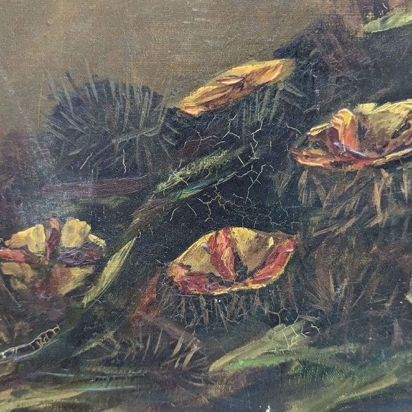 Öl auf Leinwand Stillleben mit Seeigeln und Zitronen, signiert Bouchet 1903