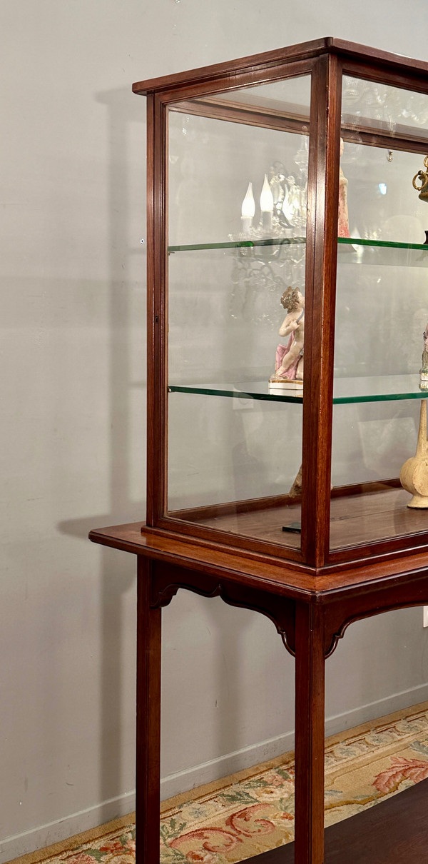 Rare Vitrine d'Exposition Musée Collectionneur En Acajou Epoque Art Nouveau Vers 1890