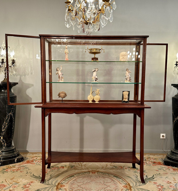 Rare Vitrine d'Exposition Musée Collectionneur En Acajou Epoque Art Nouveau Vers 1890