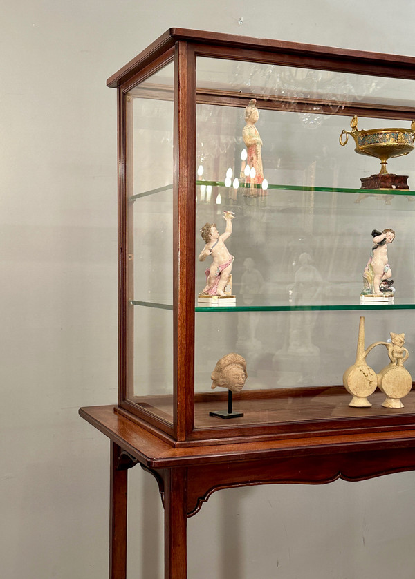 Rare Vitrine d'Exposition Musée Collectionneur En Acajou Epoque Art Nouveau Vers 1890