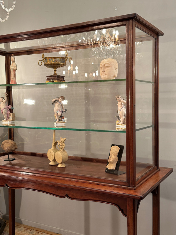 Rare Vitrine d'Exposition Musée Collectionneur En Acajou Epoque Art Nouveau Vers 1890