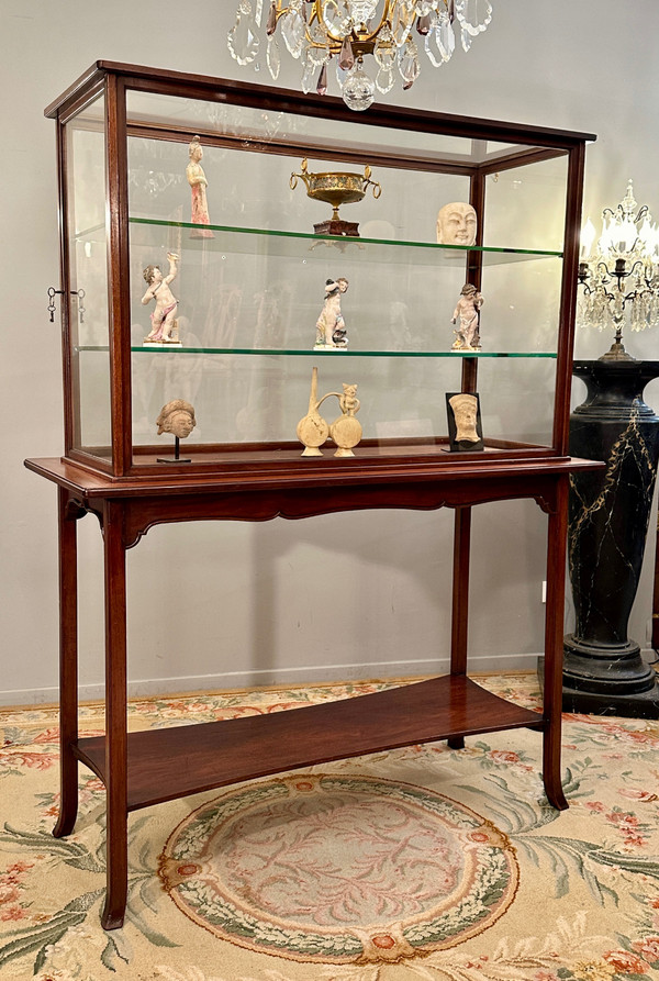Rare Vitrine d'Exposition Musée Collectionneur En Acajou Epoque Art Nouveau Vers 1890