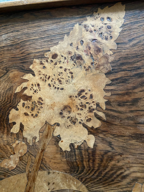 Marquetry tray signed "Gallé".
