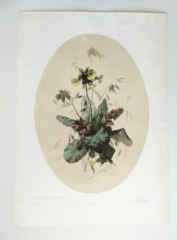 Nature Morte Fleurs De Champs Lithographie Botanique Aquarellée Par Xavier Bronner