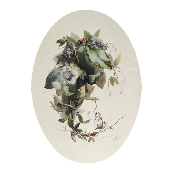Stillleben mit Cobea-Blumen von Xavier Bronner, aquarellierte botanische Lithographie, 19. Jahrhundert