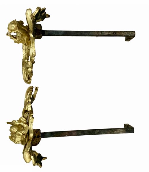 Pair of Louis XV style gilt bronze andirons representing a couple seated on rockery