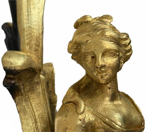 Pair of Louis XV style gilt bronze andirons representing a couple seated on rockery
