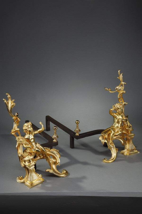 Coppia di alari in bronzo dorato, stile Luigi XV