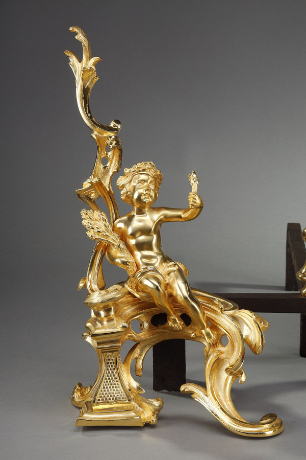 Coppia di alari in bronzo dorato, stile Luigi XV