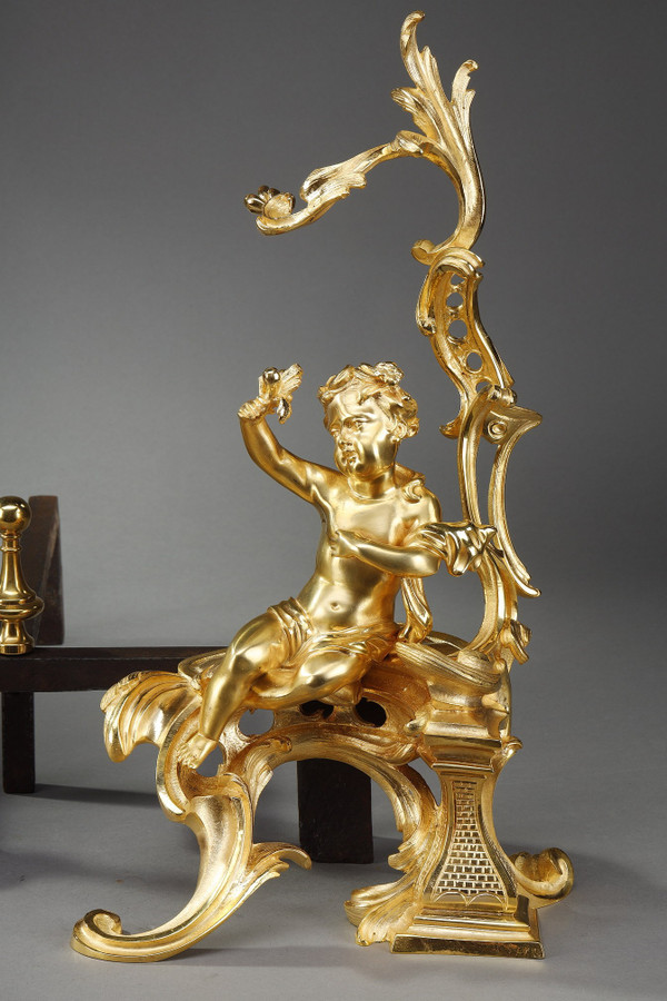 Coppia di alari in bronzo dorato, stile Luigi XV