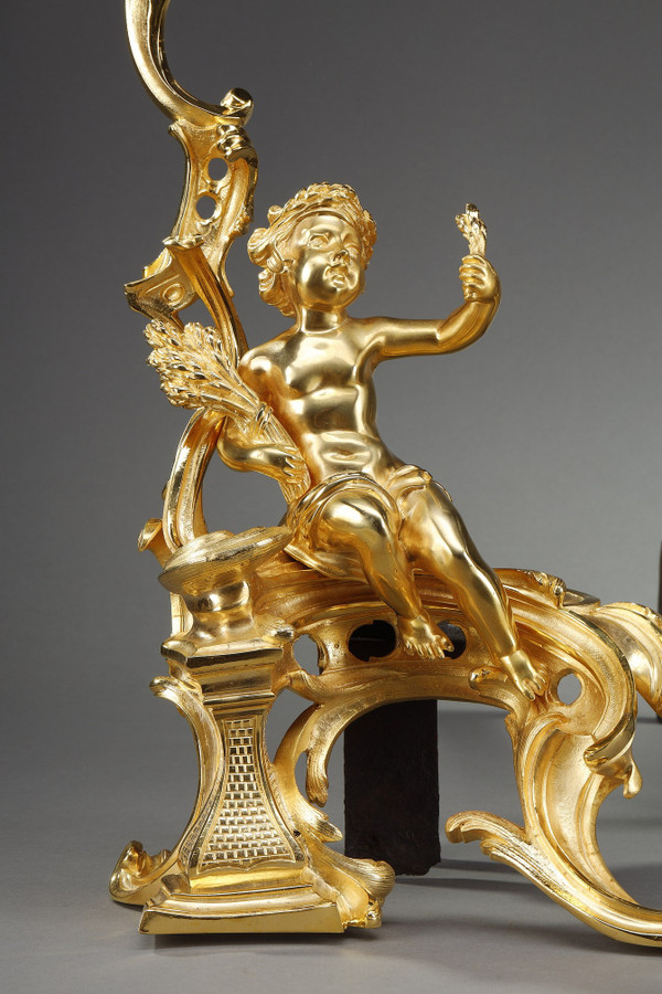 Coppia di alari in bronzo dorato, stile Luigi XV