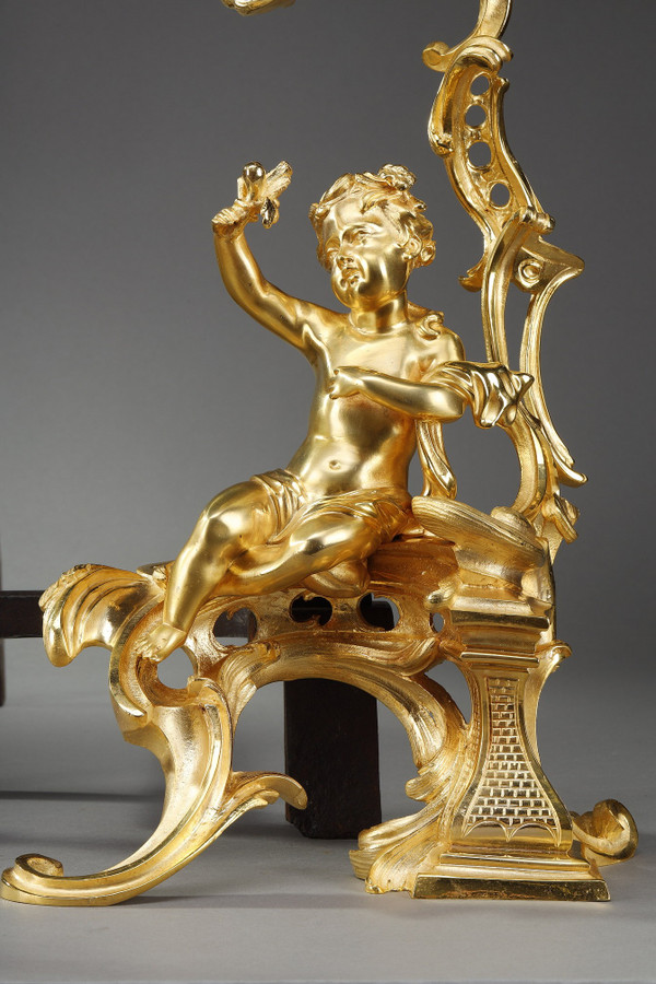 Coppia di alari in bronzo dorato, stile Luigi XV