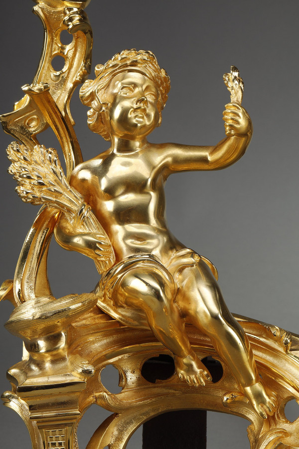 Coppia di alari in bronzo dorato, stile Luigi XV