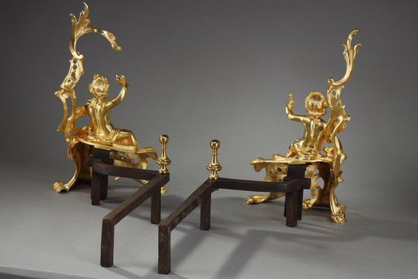 Coppia di alari in bronzo dorato, stile Luigi XV