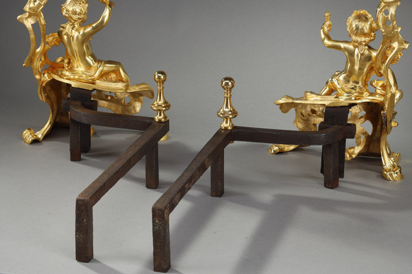 Coppia di alari in bronzo dorato, stile Luigi XV