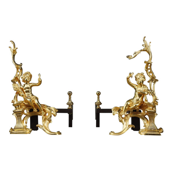 Coppia di alari in bronzo dorato, stile Luigi XV