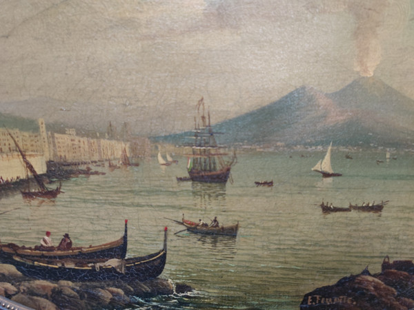Golfo di Napoli. Ettore FERRANTE.