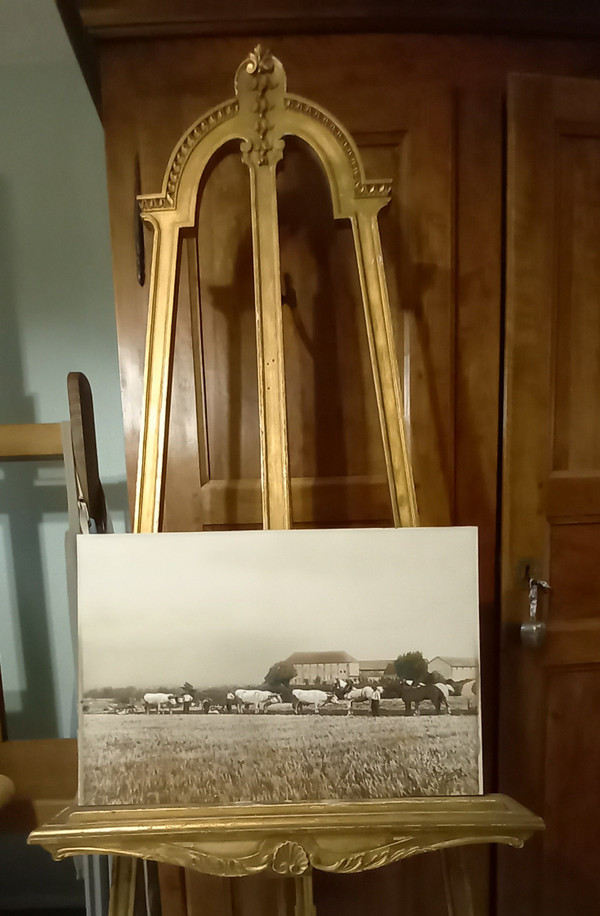 Art photography return from ploughing/XXth century