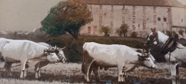 Art photography return from ploughing/XXth century