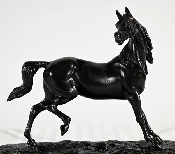 Cavallo Regula su base di legno - Inizio XX secolo