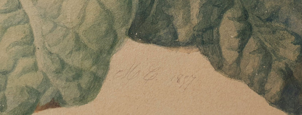 Scuola francese del XIX secolo - Agrifoglio