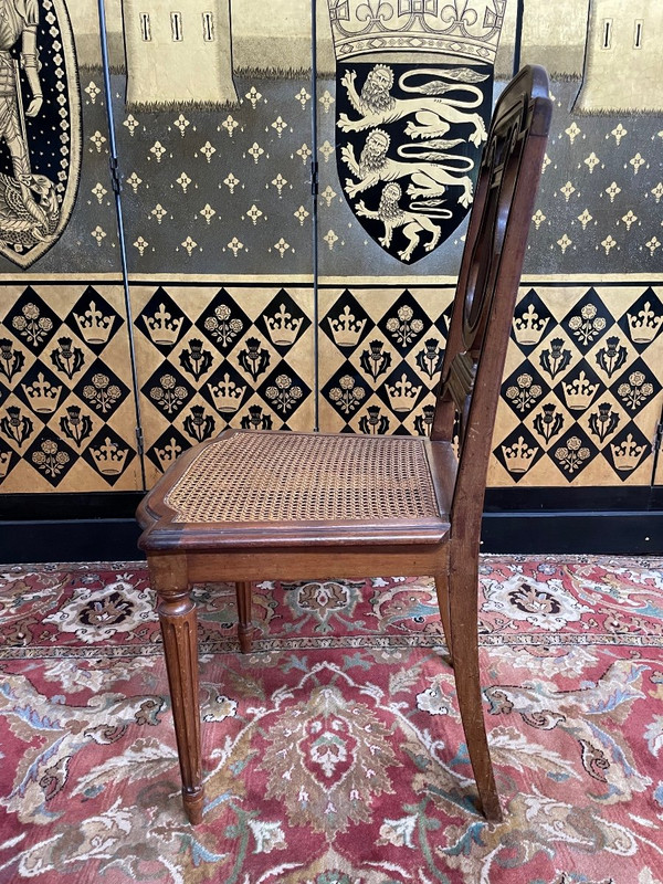 Suite De 8 Chaises De Style Louis XVI « lyre » en cannage