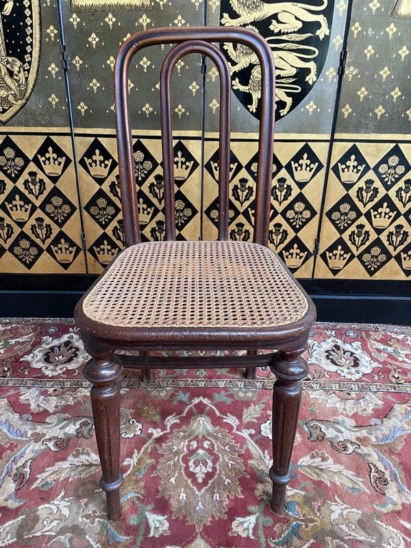Suite Of 5 Thonet Cane Chairs