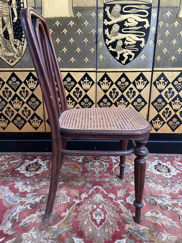 Suite Of 5 Thonet Cane Chairs