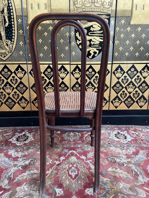 Suite Of 5 Thonet Cane Chairs