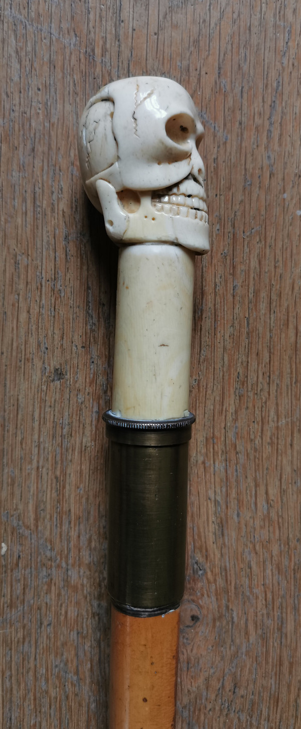 Stock Knauf Totenkopf a Fach
