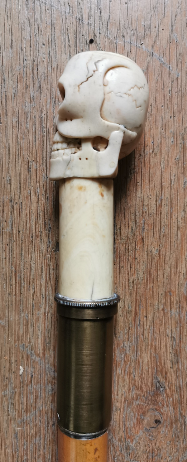 Stock Knauf Totenkopf a Fach