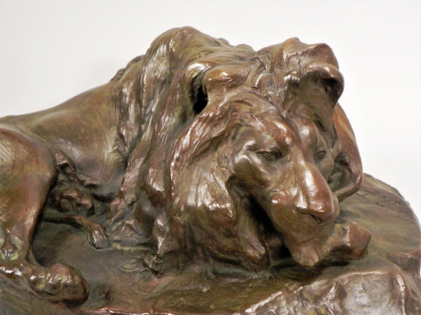 Josuë DUPON (1864-1935) Lying Lion Bronze (ca 1908) 