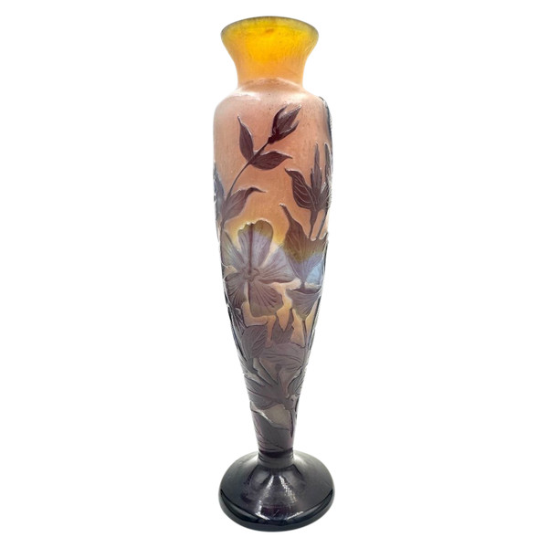 Gallé, Vase Decorated by Cape Dentaires