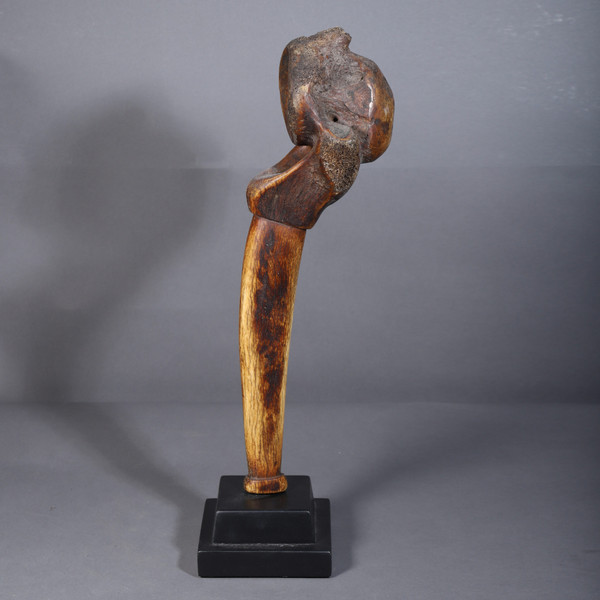 Giraffe vertebra – Dinka, Sudan