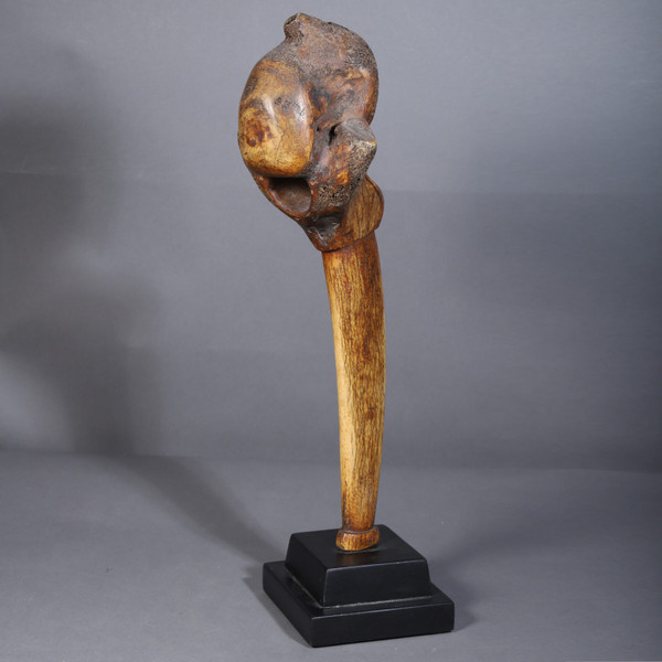Giraffe vertebra – Dinka, Sudan