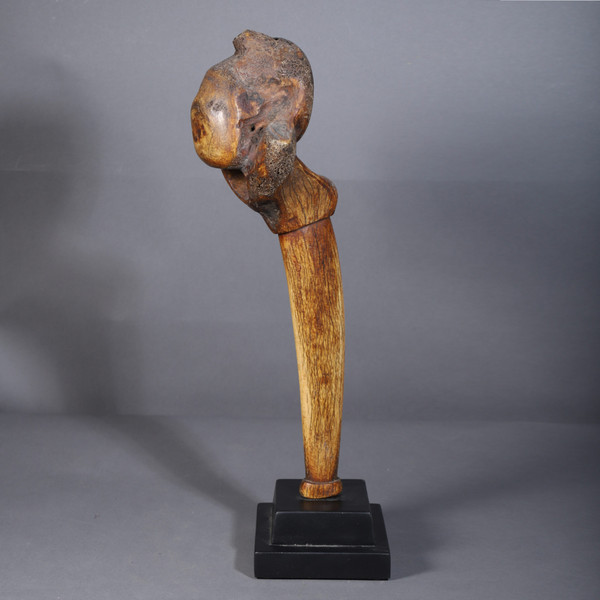 Giraffe vertebra – Dinka, Sudan