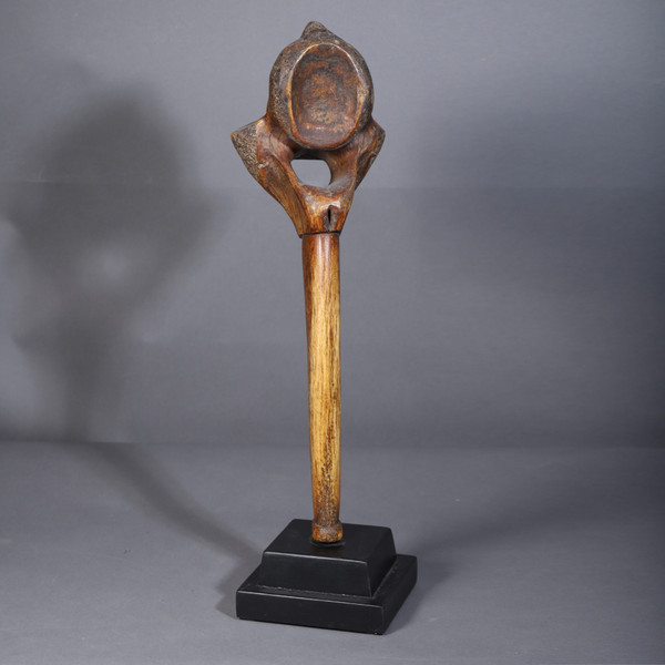 Giraffe vertebra – Dinka, Sudan