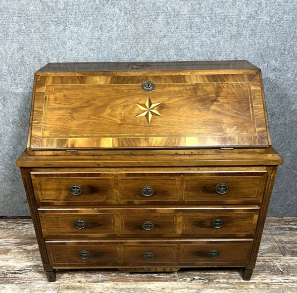 Cassettone scribanne in stile Luigi XVI in radica di noce con decori intarsiati su tutti i lati in legno di pruno, sycom