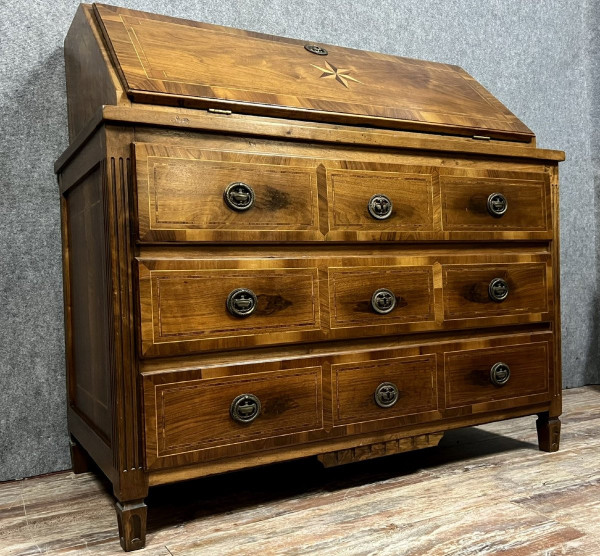 Cassettone scribanne in stile Luigi XVI in radica di noce con decori intarsiati su tutti i lati in legno di pruno, sycom