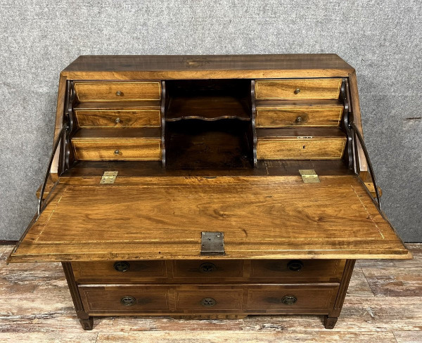 Cassettone scribanne in stile Luigi XVI in radica di noce con decori intarsiati su tutti i lati in legno di pruno, sycom