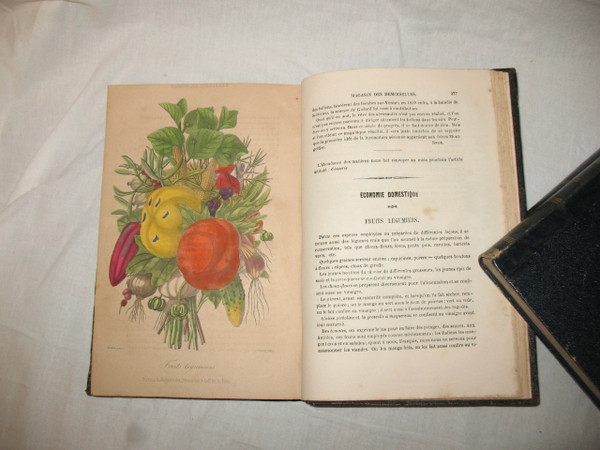 Magasin des demoiselles 3 volumes complets avec planches en couleur gravures de mode 1850 à 69