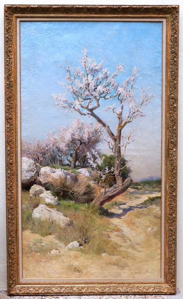 Théophile Henri DÉCANIS, Amandiers en fleurs, Provence
