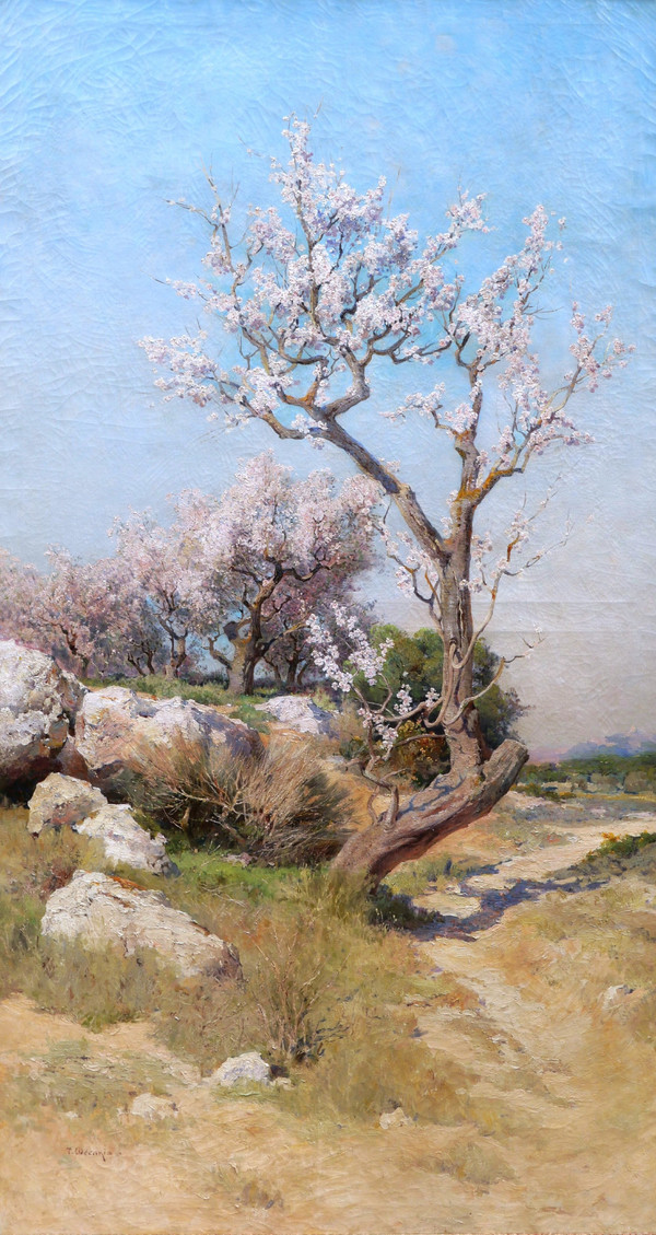 Théophile Henri DÉCANIS, Amandiers en fleurs, Provence
