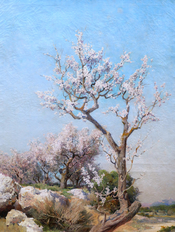 Théophile Henri DÉCANIS, Amandiers en fleurs, Provence